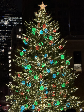 112th Annual City of Chicago Christmas Tree Lighting Ceremony  (11/21/25)